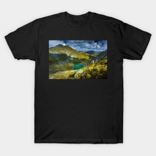 Romanian Carpathians and glacial lake Capra T-Shirt